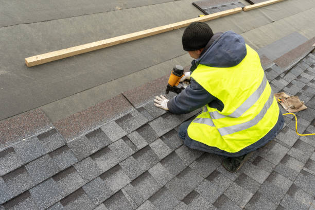 Best Roof Insulation Installation  in Tuscola, IL