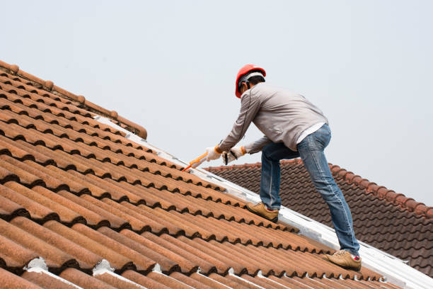 Best Commercial Roofing Services  in Tuscola, IL