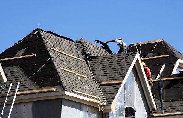 Best Emergency Roof Repair Services  in Tuscola, IL